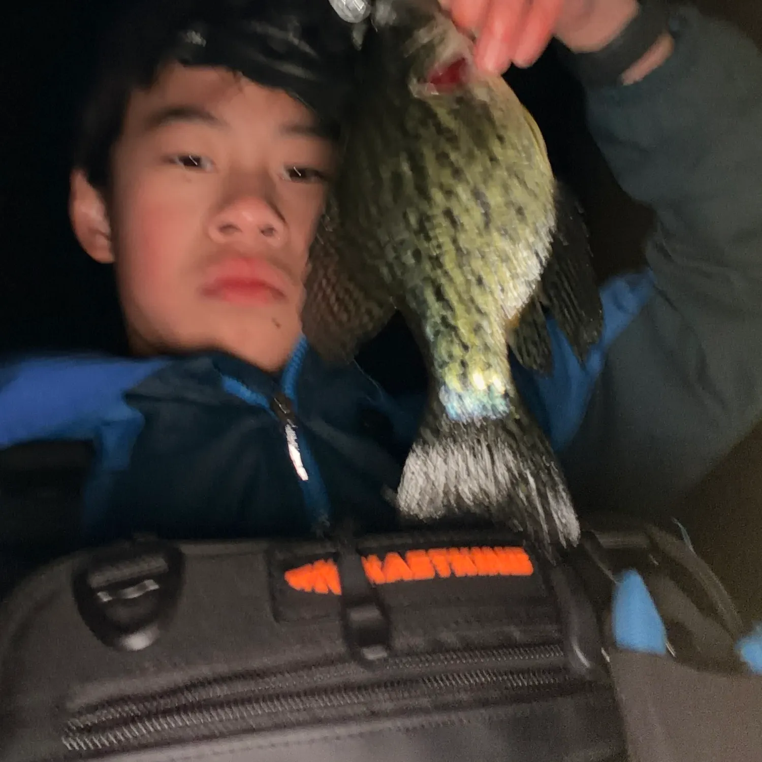 Black crappie caught on Fishbrain