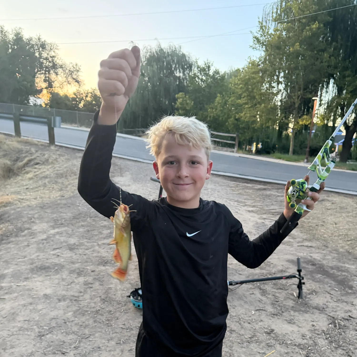 Yellow bullhead caught on Fishbrain