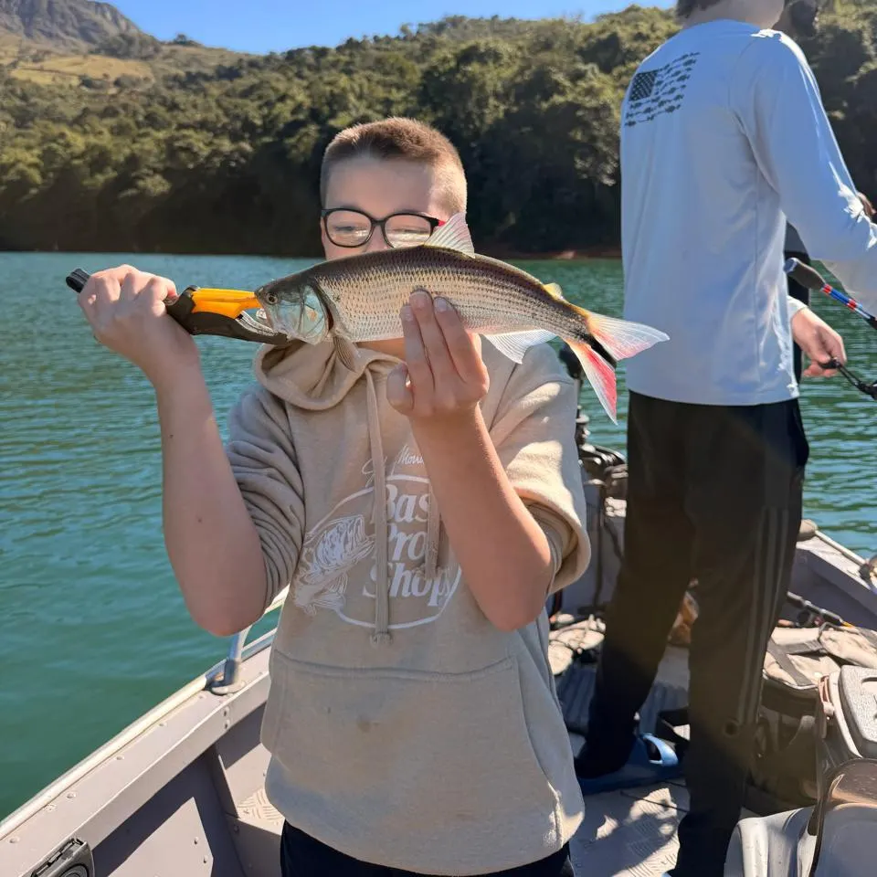 The most recent Dorada catches on Fishbrain