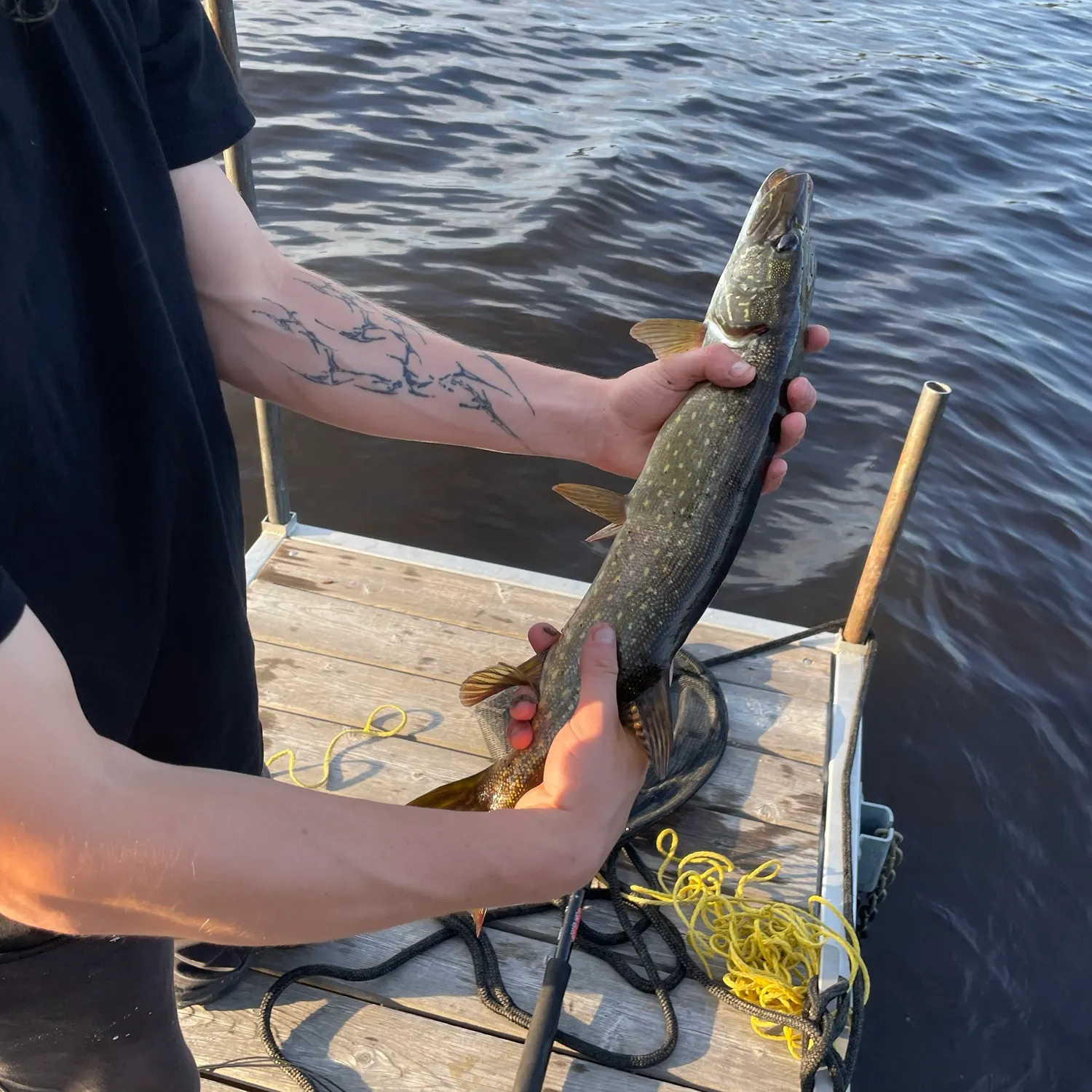 recently logged catches