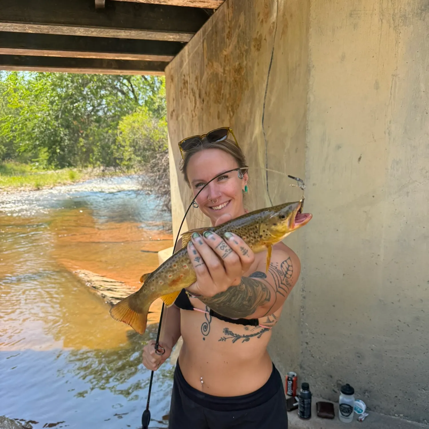 Brown trout caught on Fishbrain