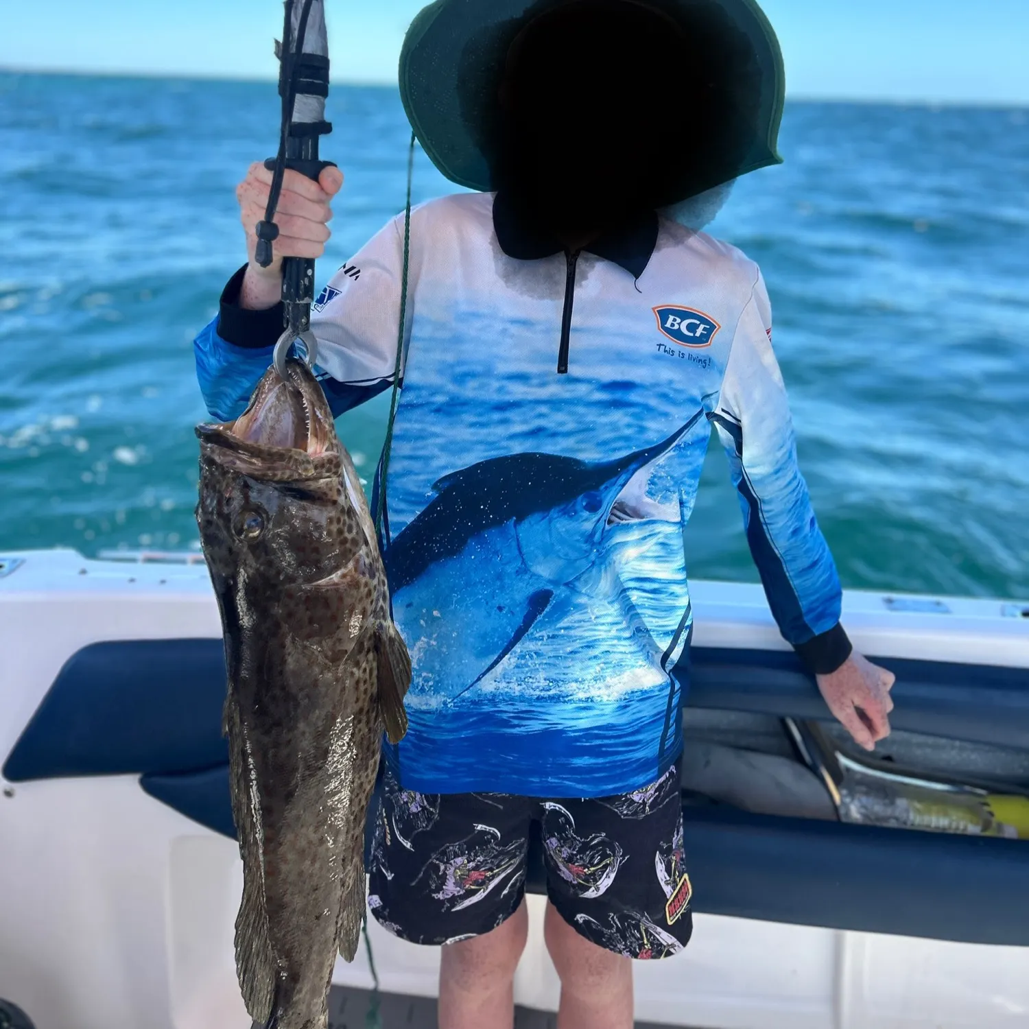 The most recent Areolate grouper catches on Fishbrain