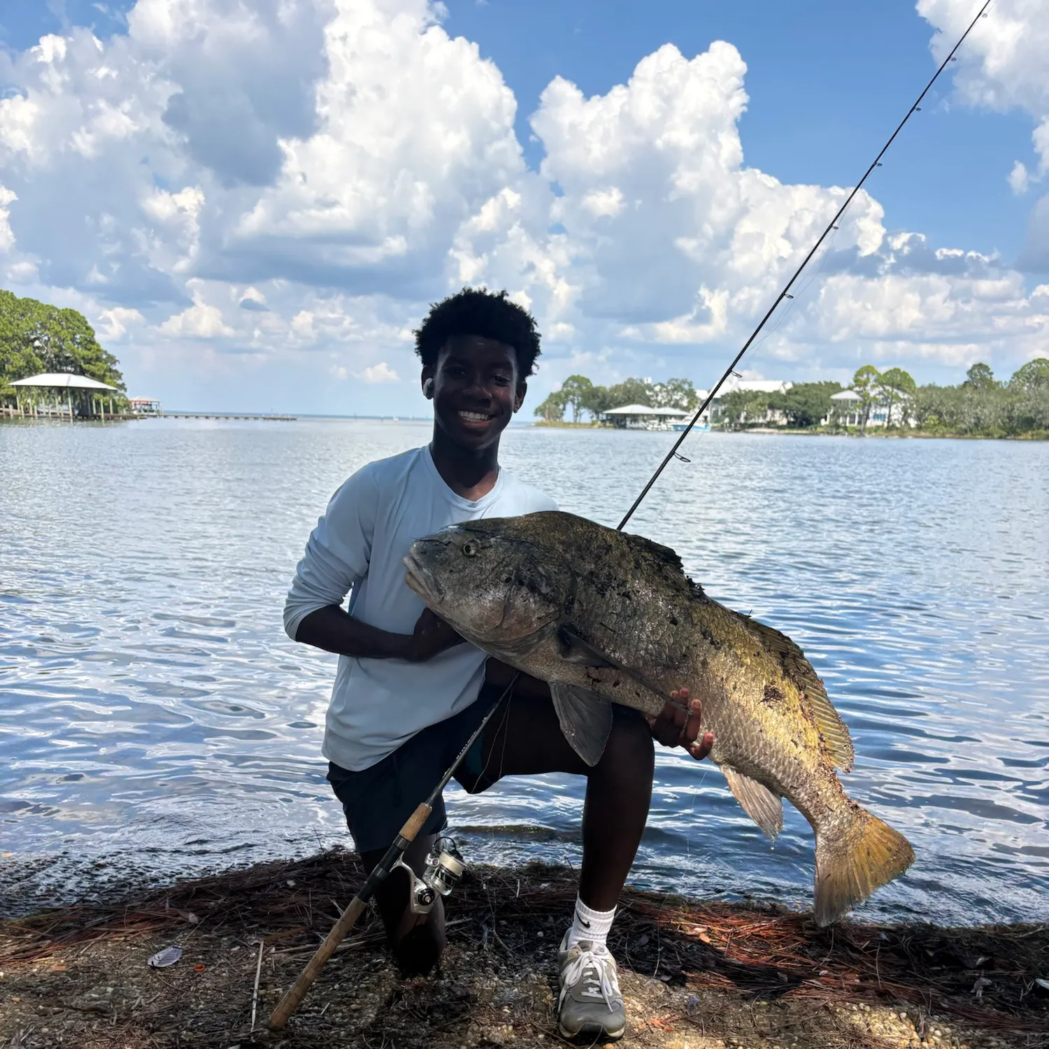 Black drum caught on Fishbrain