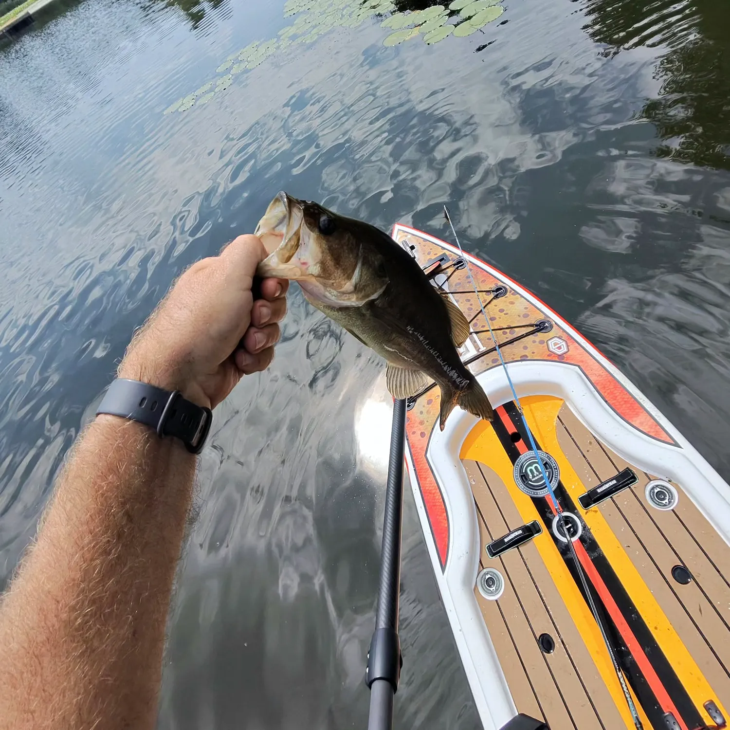 Largemouth bass caught on Fishbrain