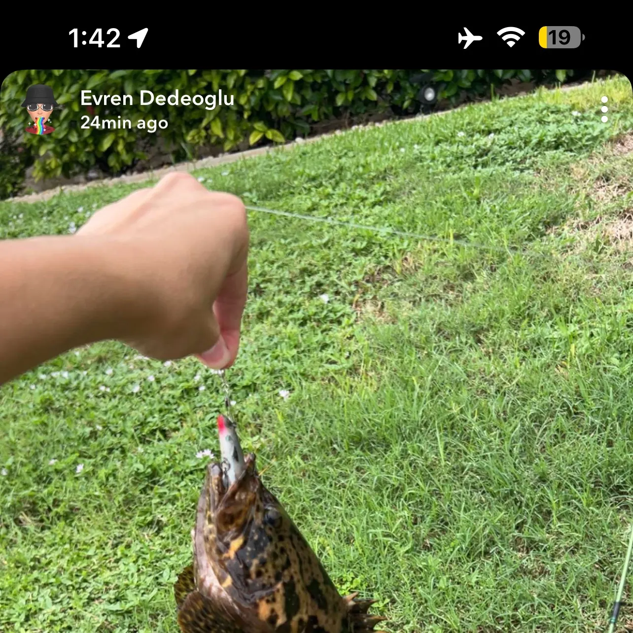 recently logged catches