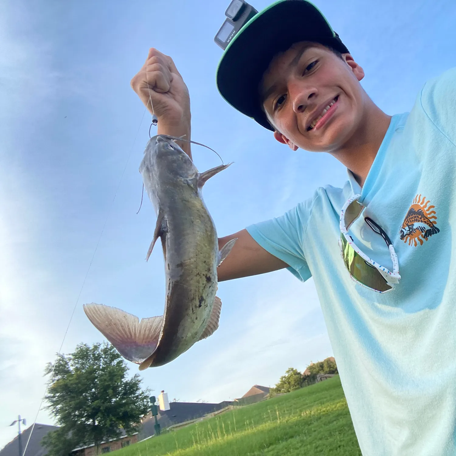 Channel catfish caught on Fishbrain