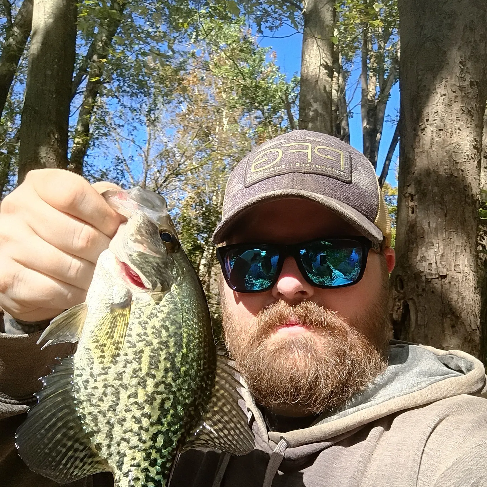 Black crappie caught on Fishbrain
