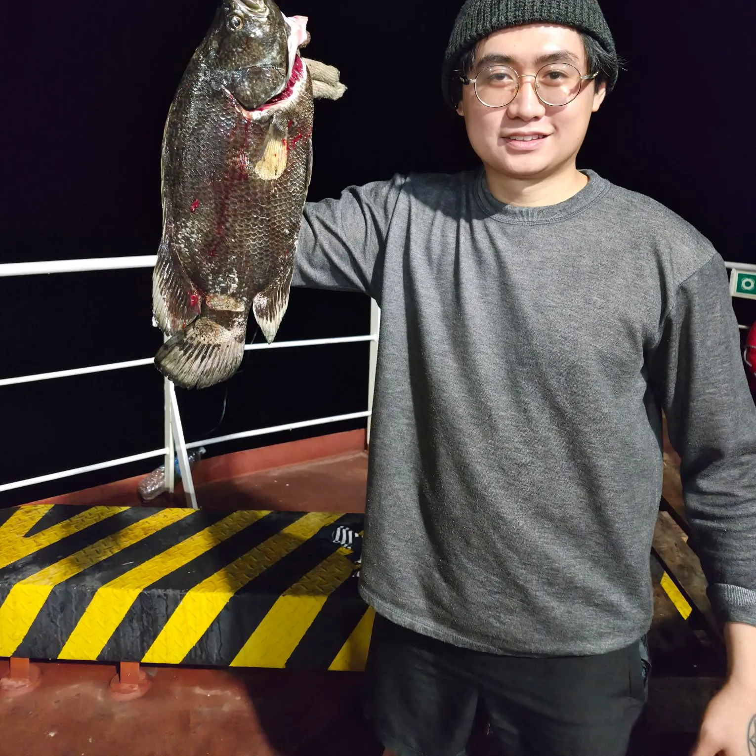 Atlantic tripletail caught on Fishbrain