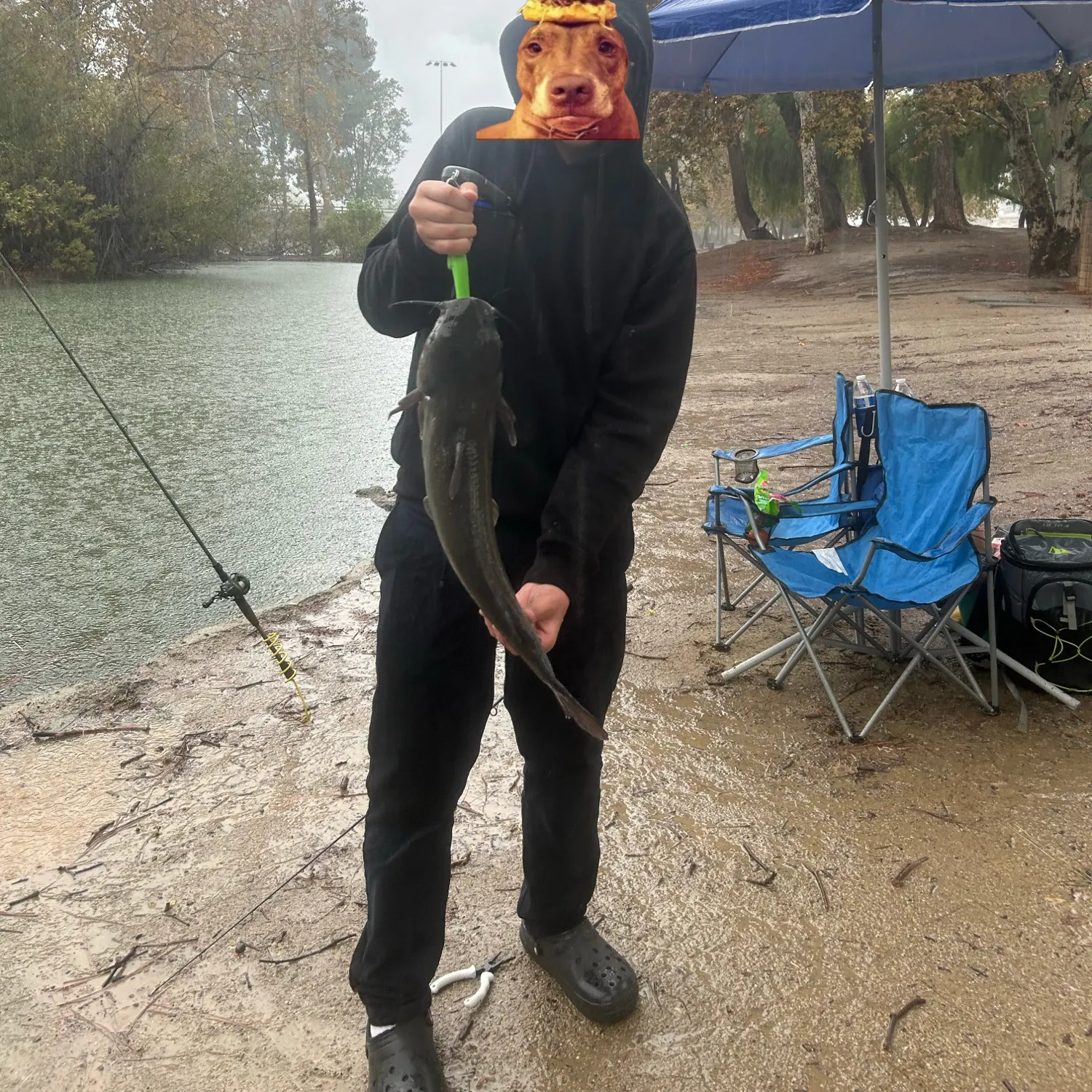 Channel catfish caught on Fishbrain