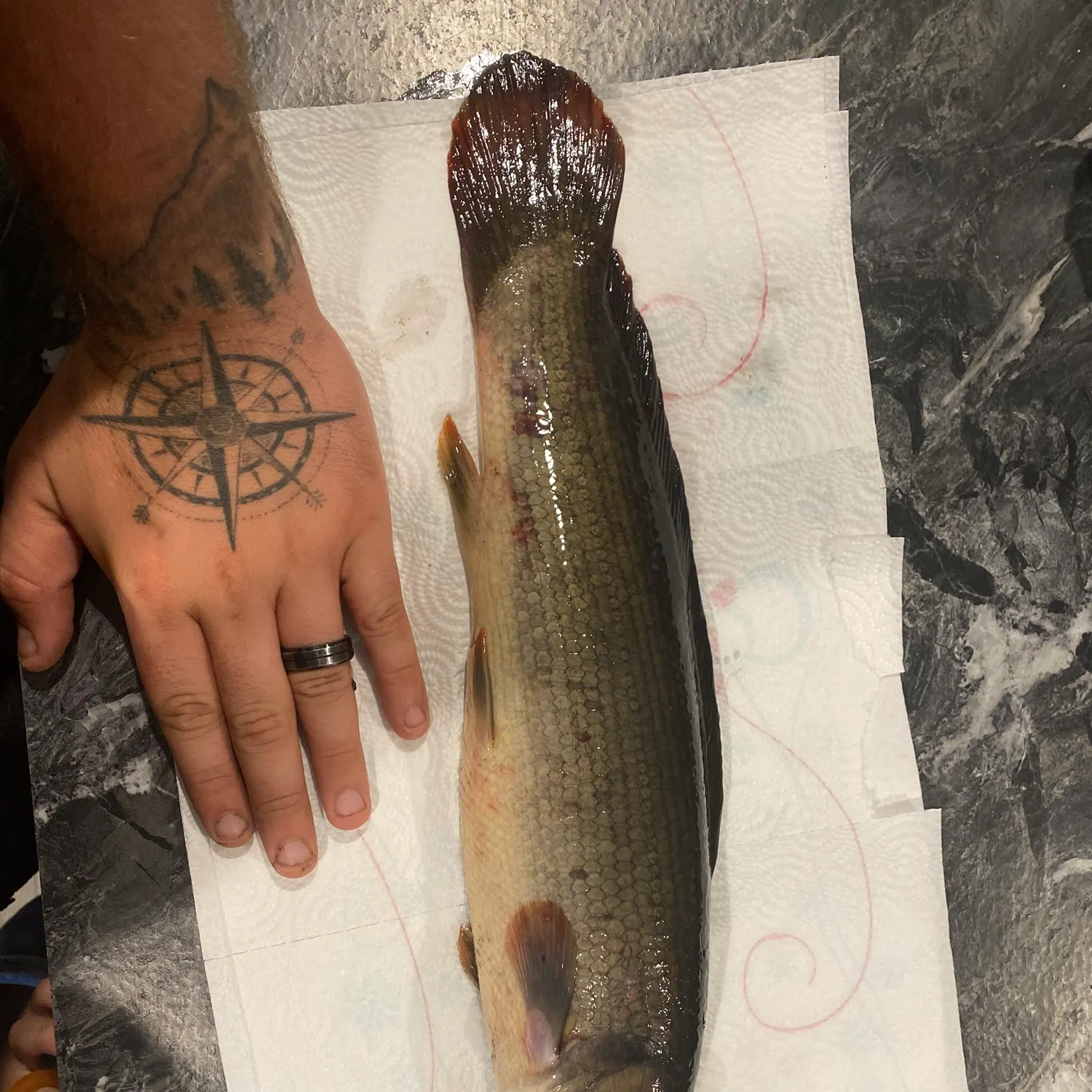 recently logged catches