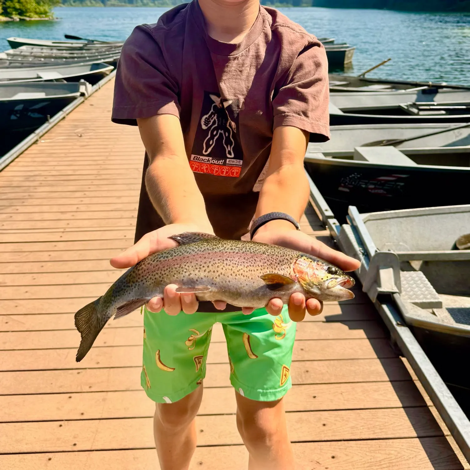 recently logged catches