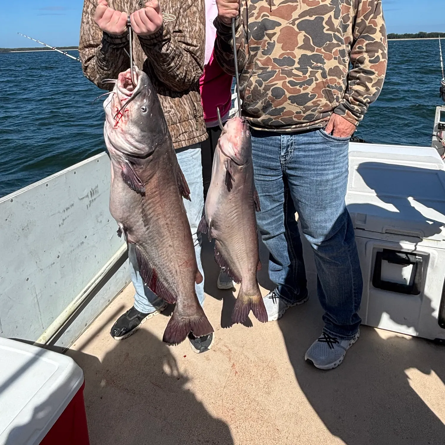 Blue catfish caught on Fishbrain