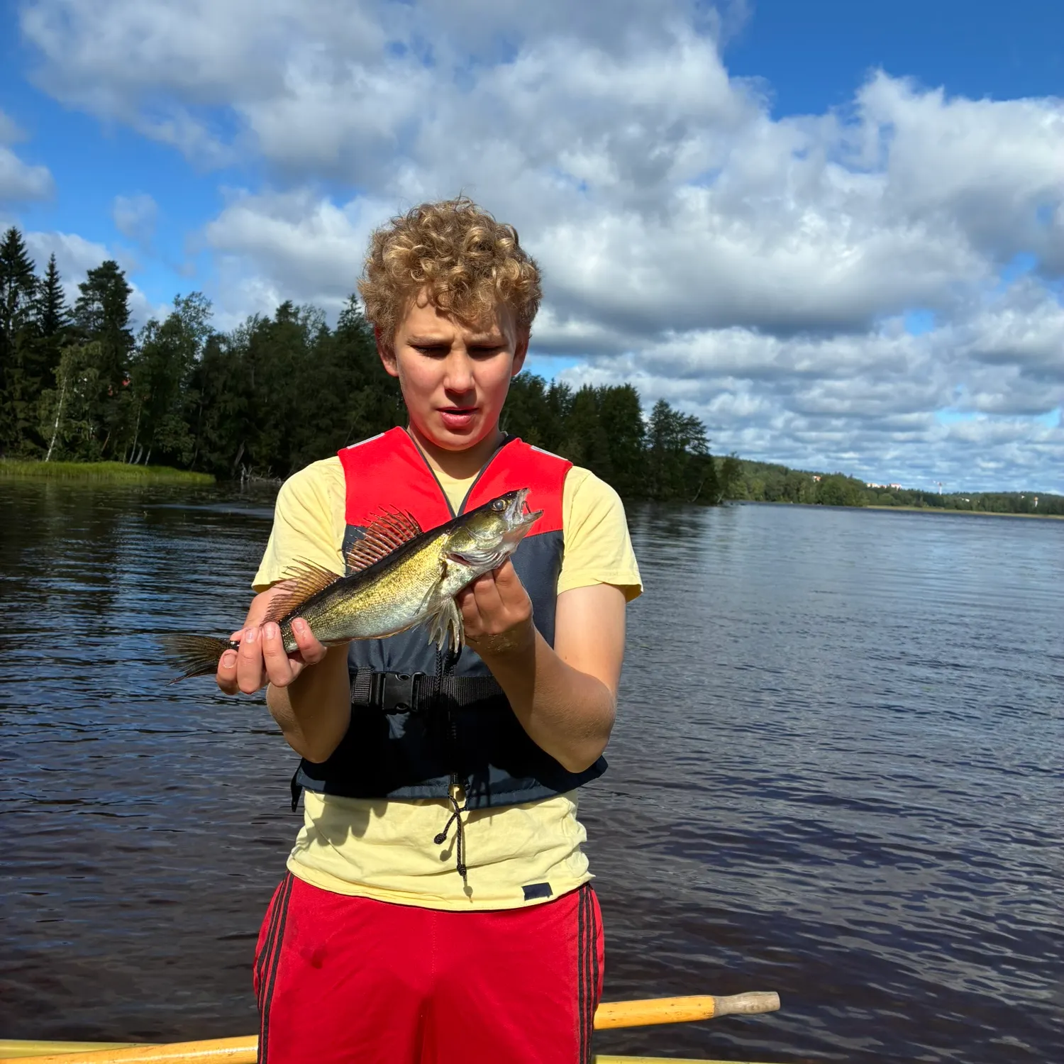 Zander caught on Fishbrain