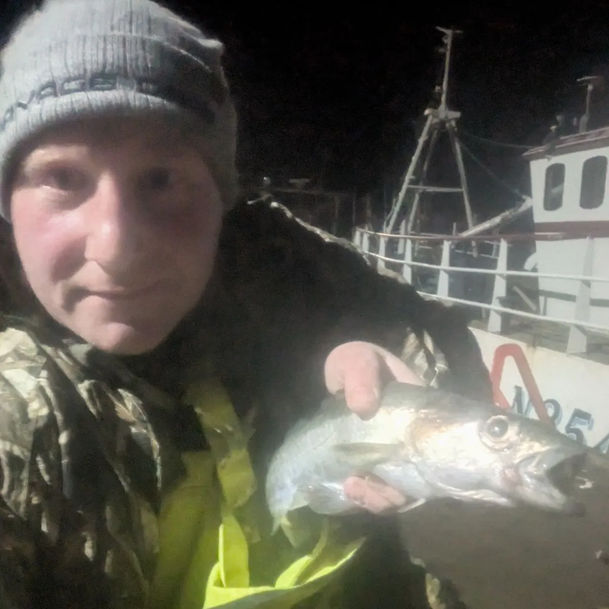 The most recent Pollack catches on Fishbrain