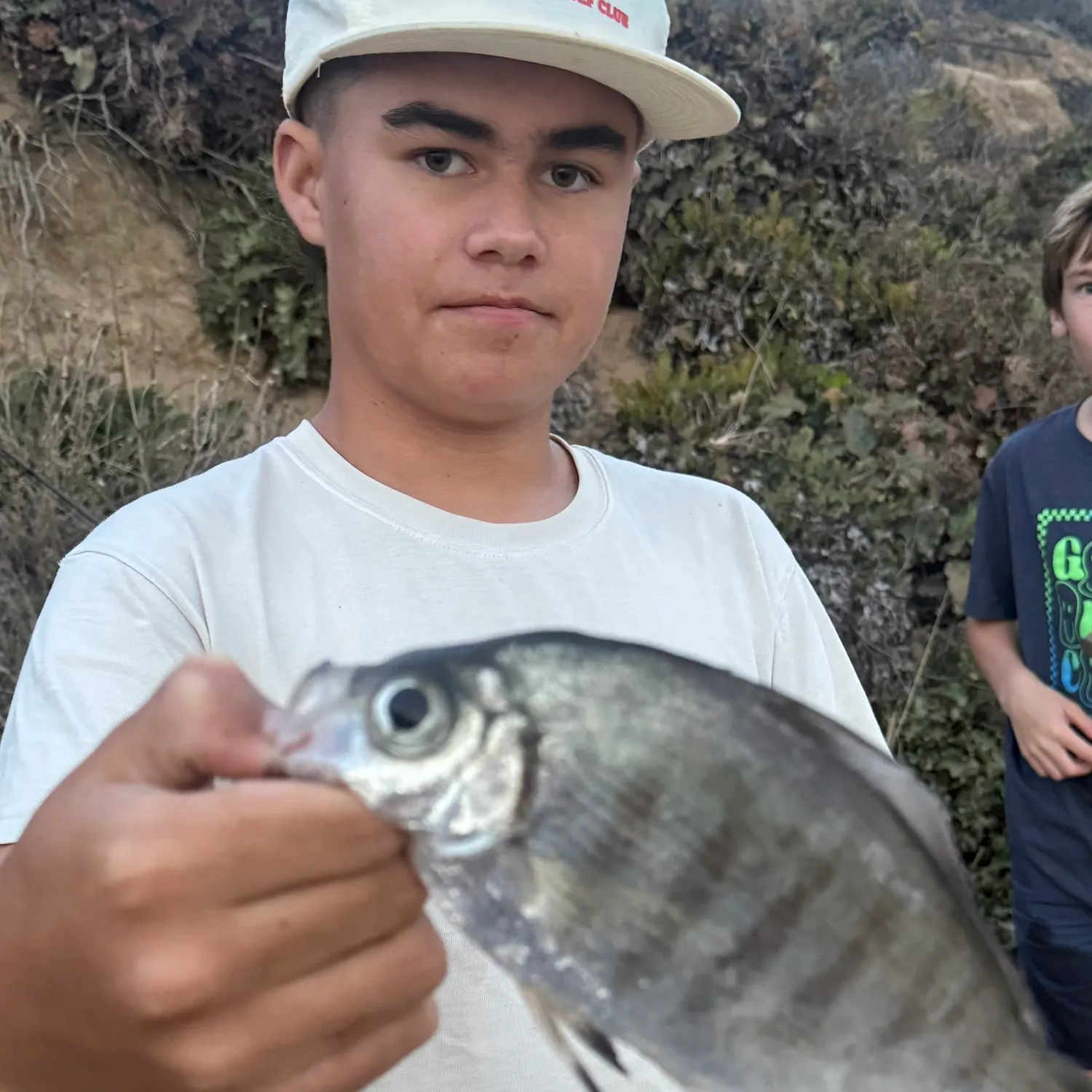 The most recent Walleye surfperch catches on Fishbrain