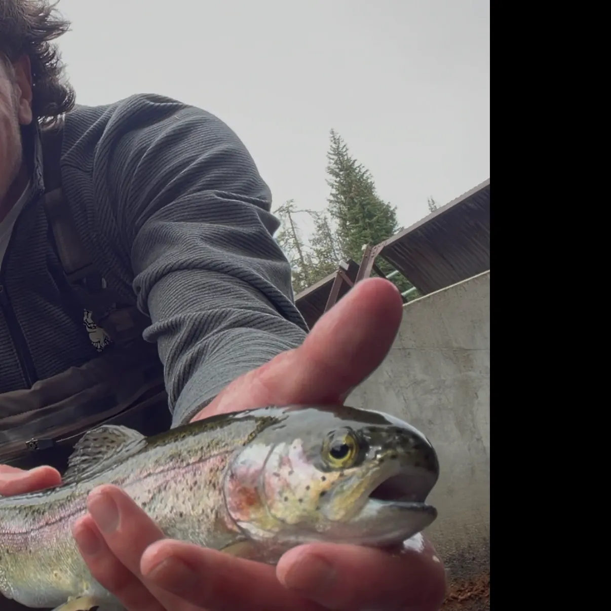 Rainbow trout caught on Fishbrain