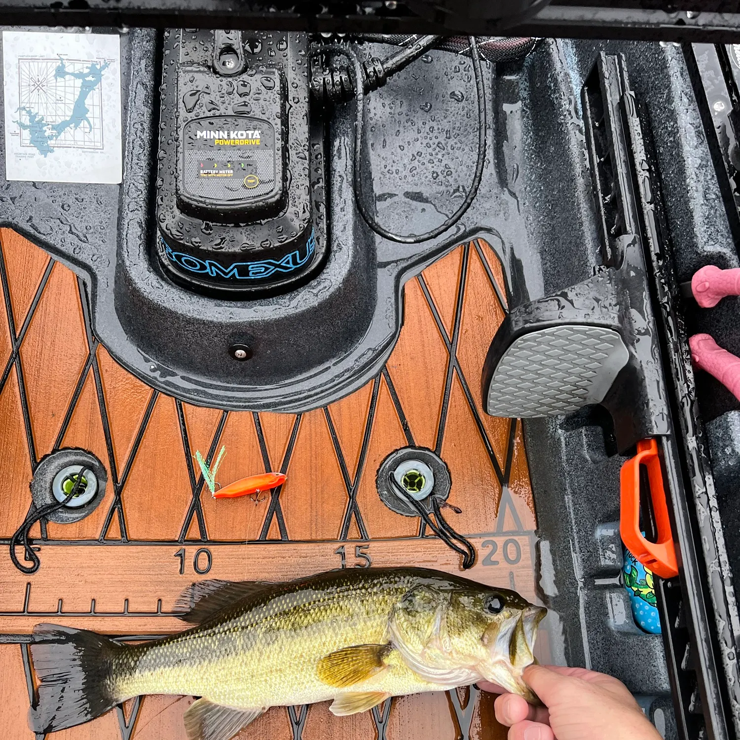 Largemouth bass caught on Fishbrain