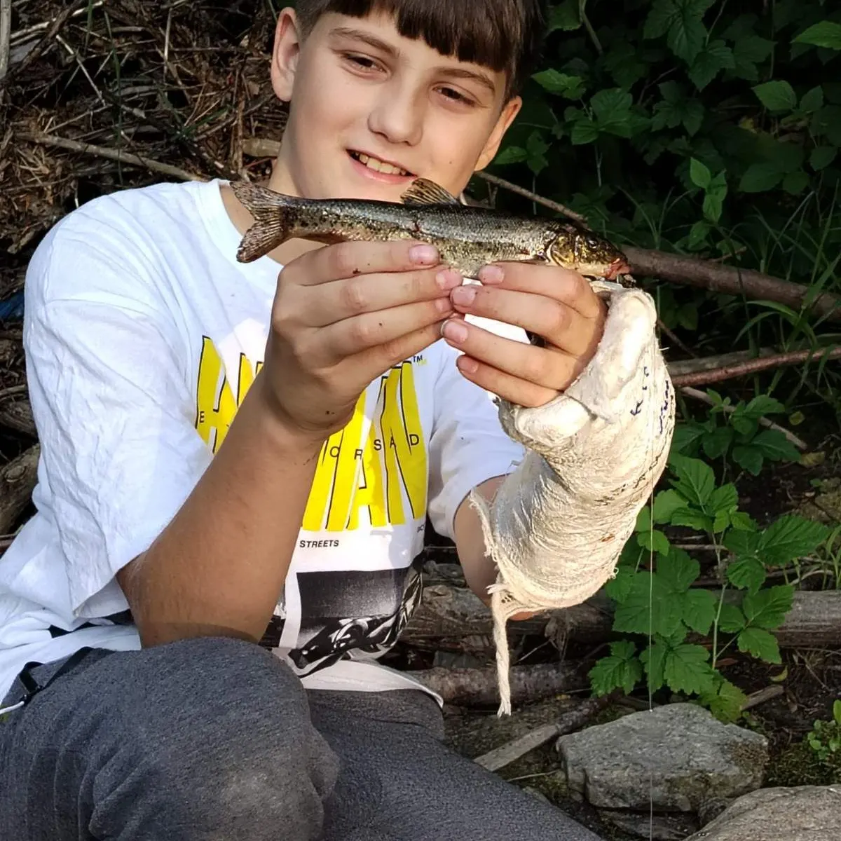 The most recent Mediterranean barbel catches on Fishbrain