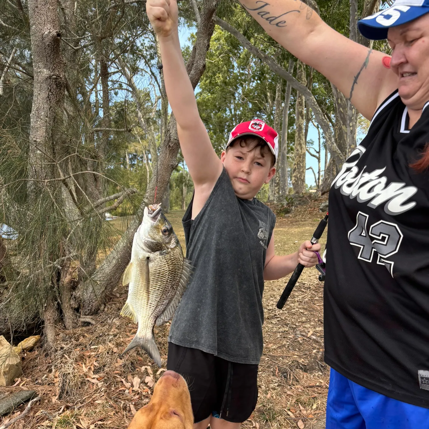 The most recent Surf bream catches on Fishbrain