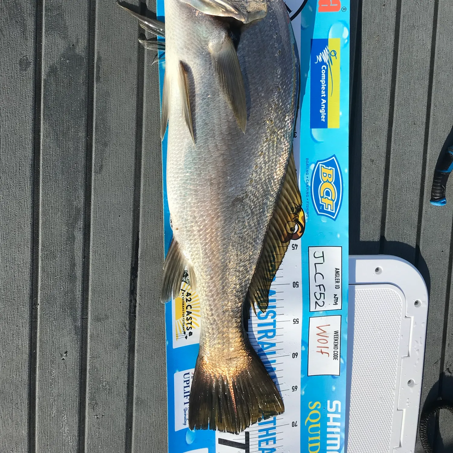 recently logged catches