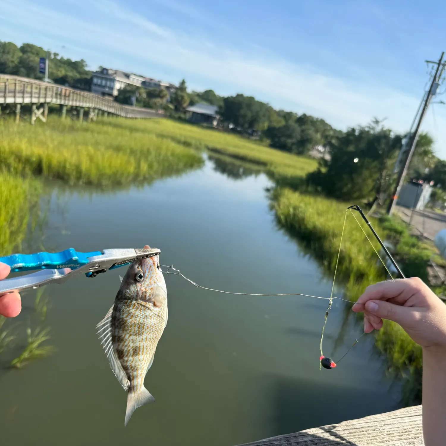 catch