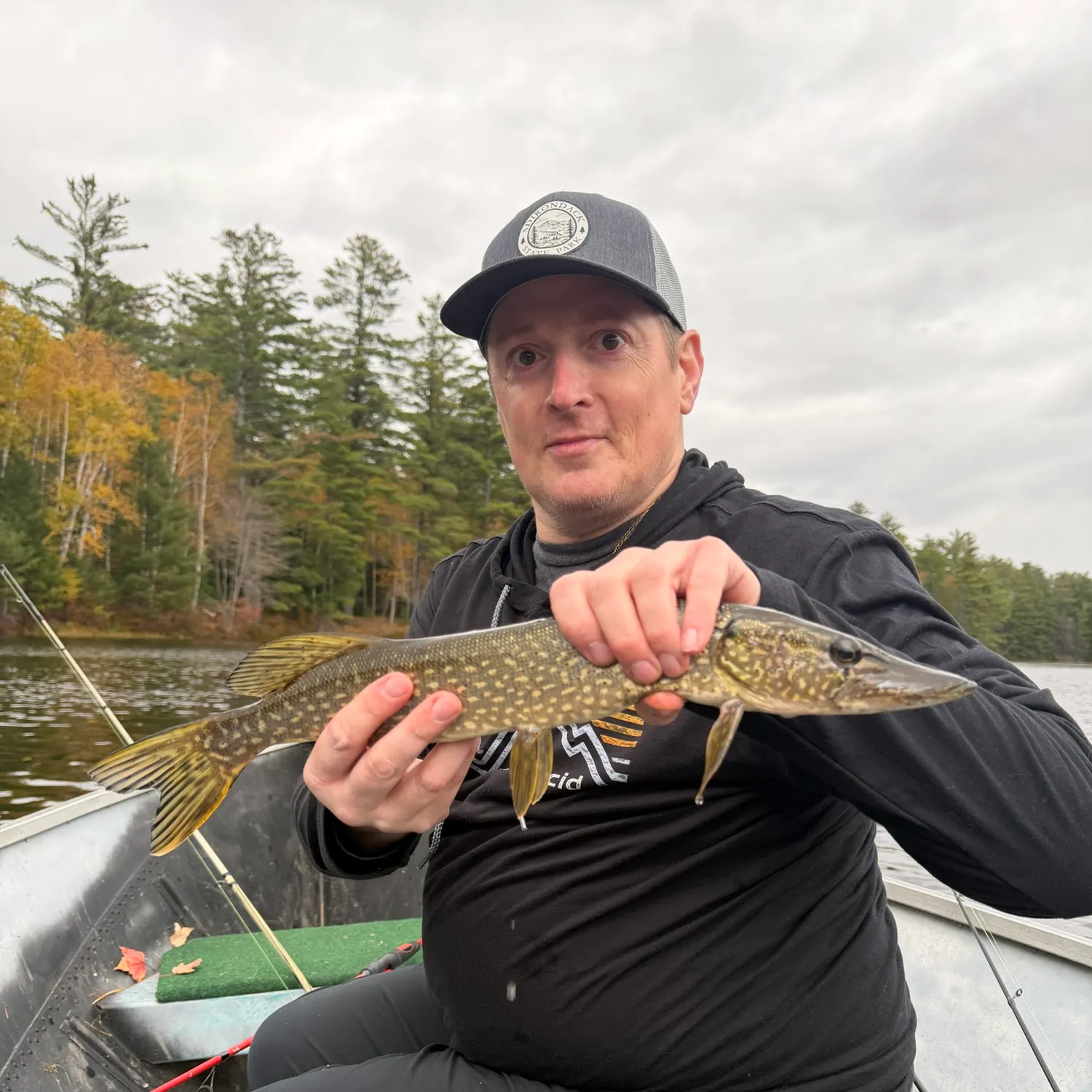 Northern pike caught on Fishbrain