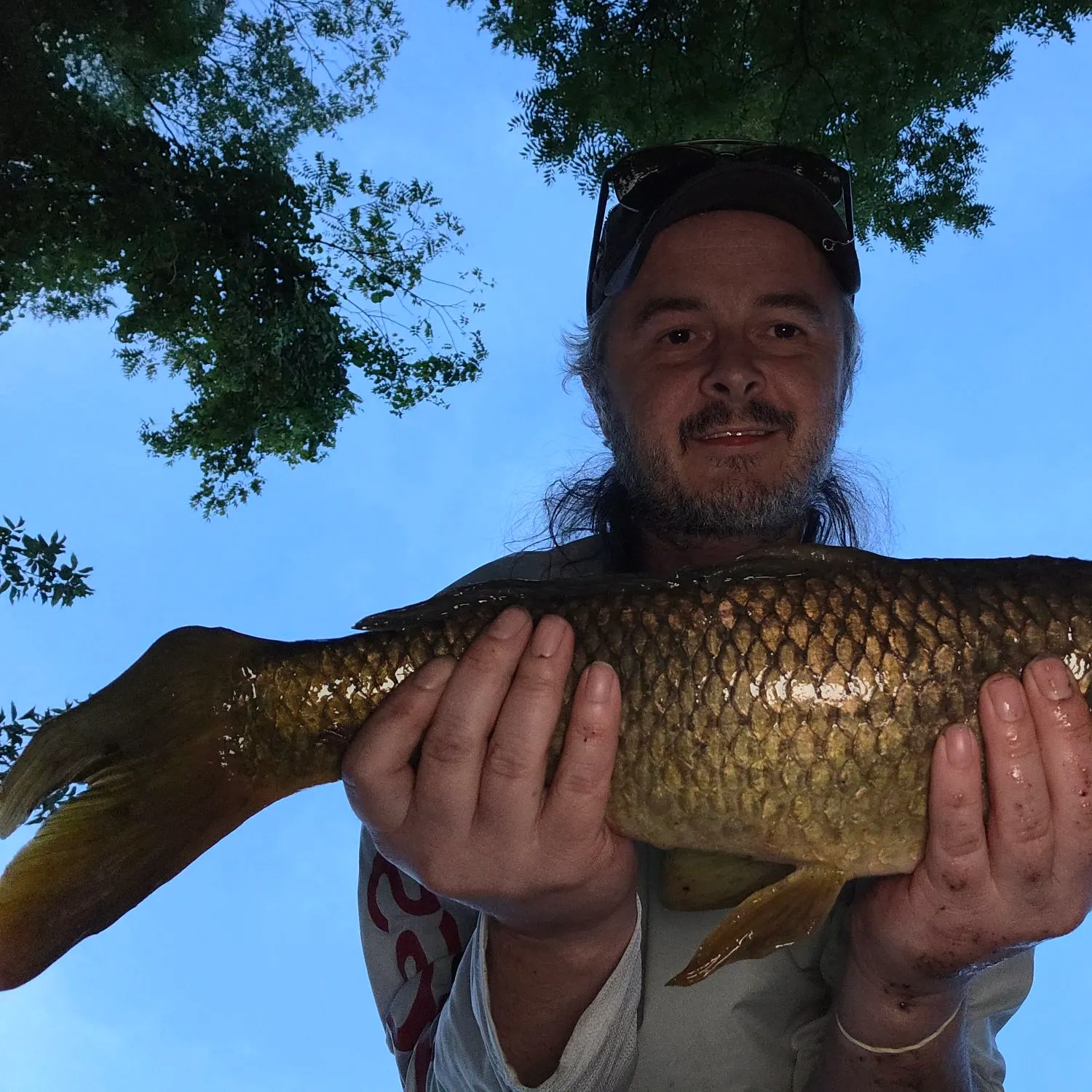 Common carp caught on Fishbrain