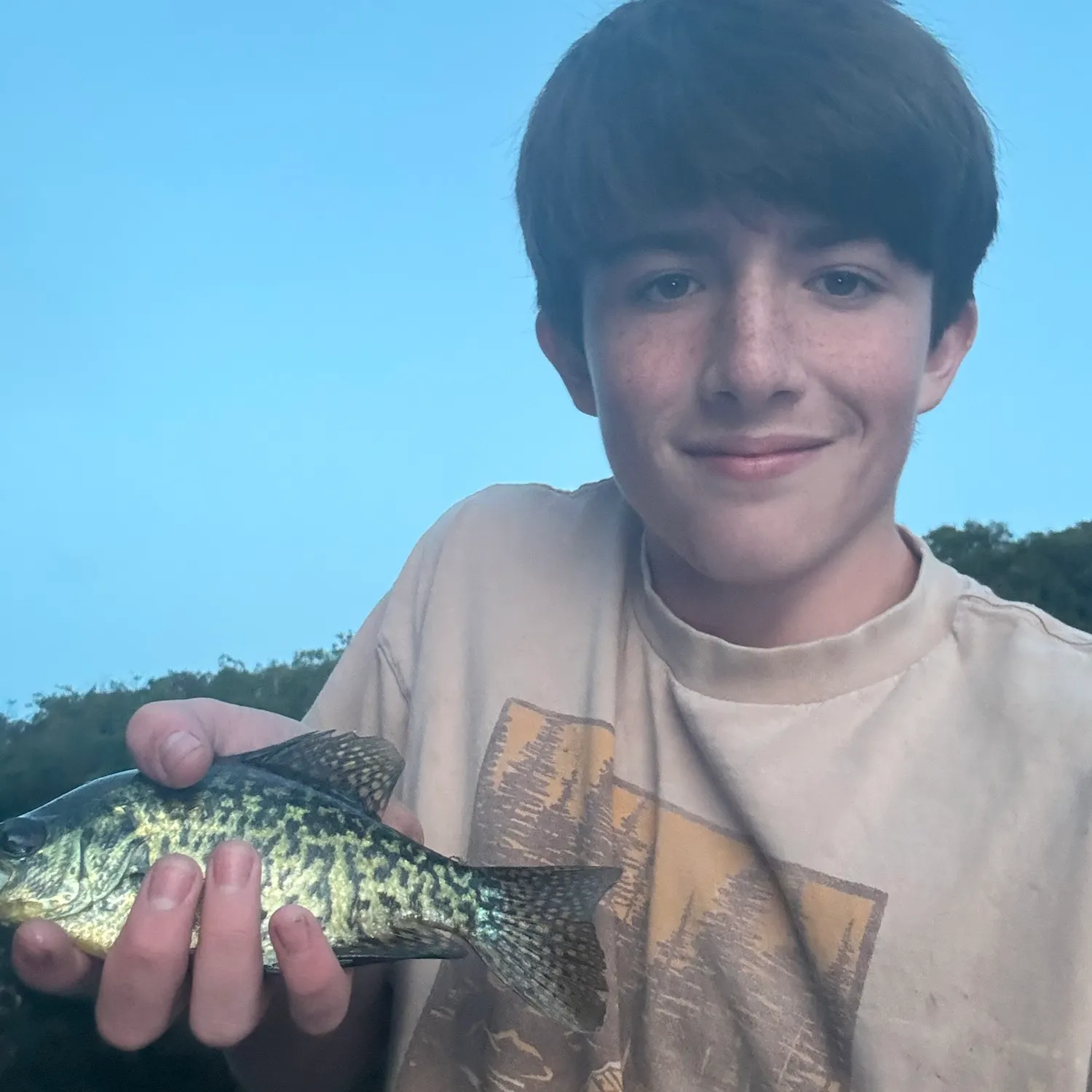 Black crappie caught on Fishbrain