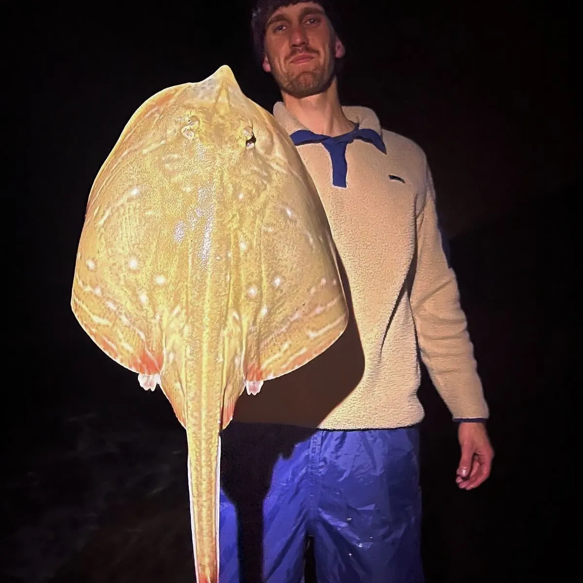 The most recent Small-eyed ray catches on Fishbrain