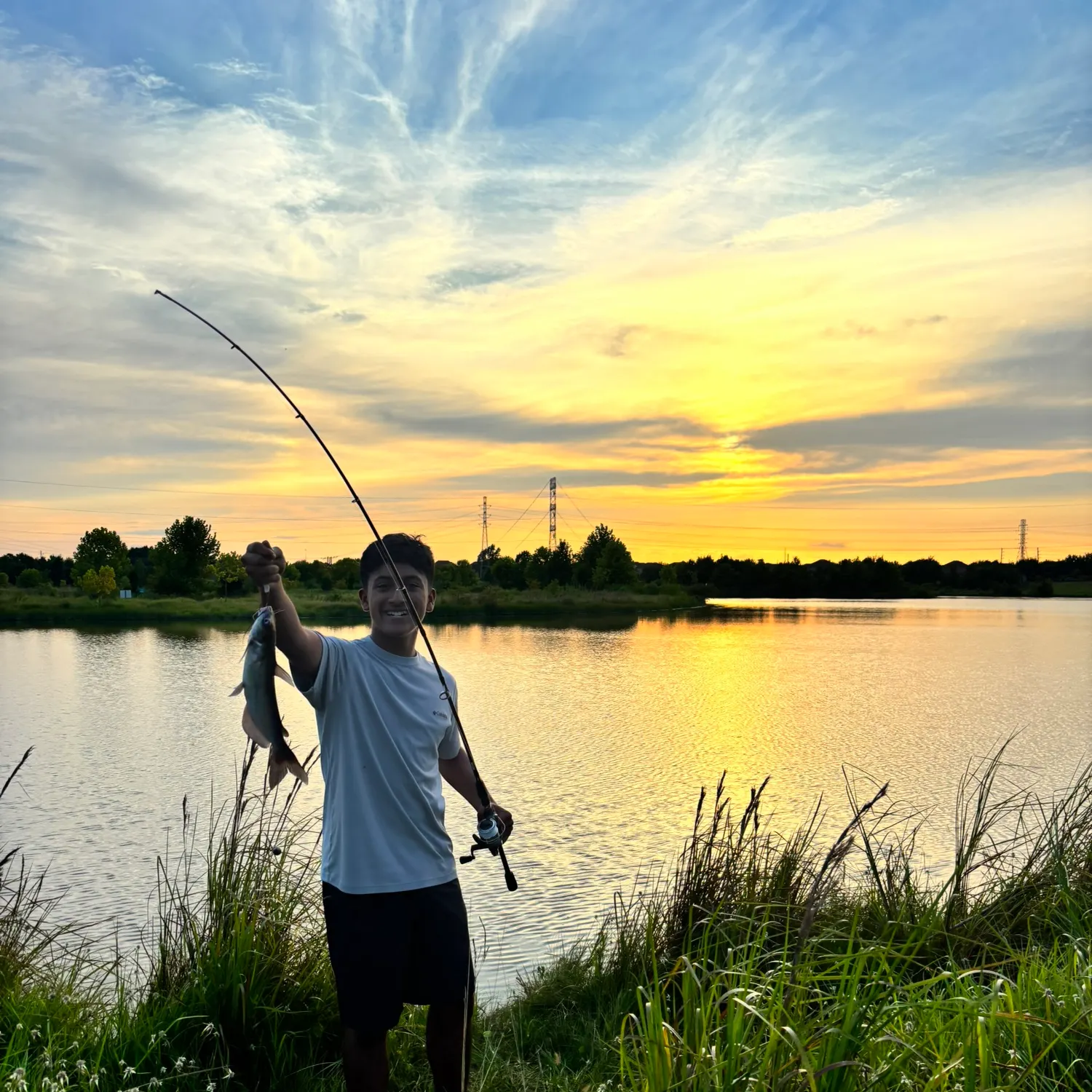 Channel catfish caught on Fishbrain