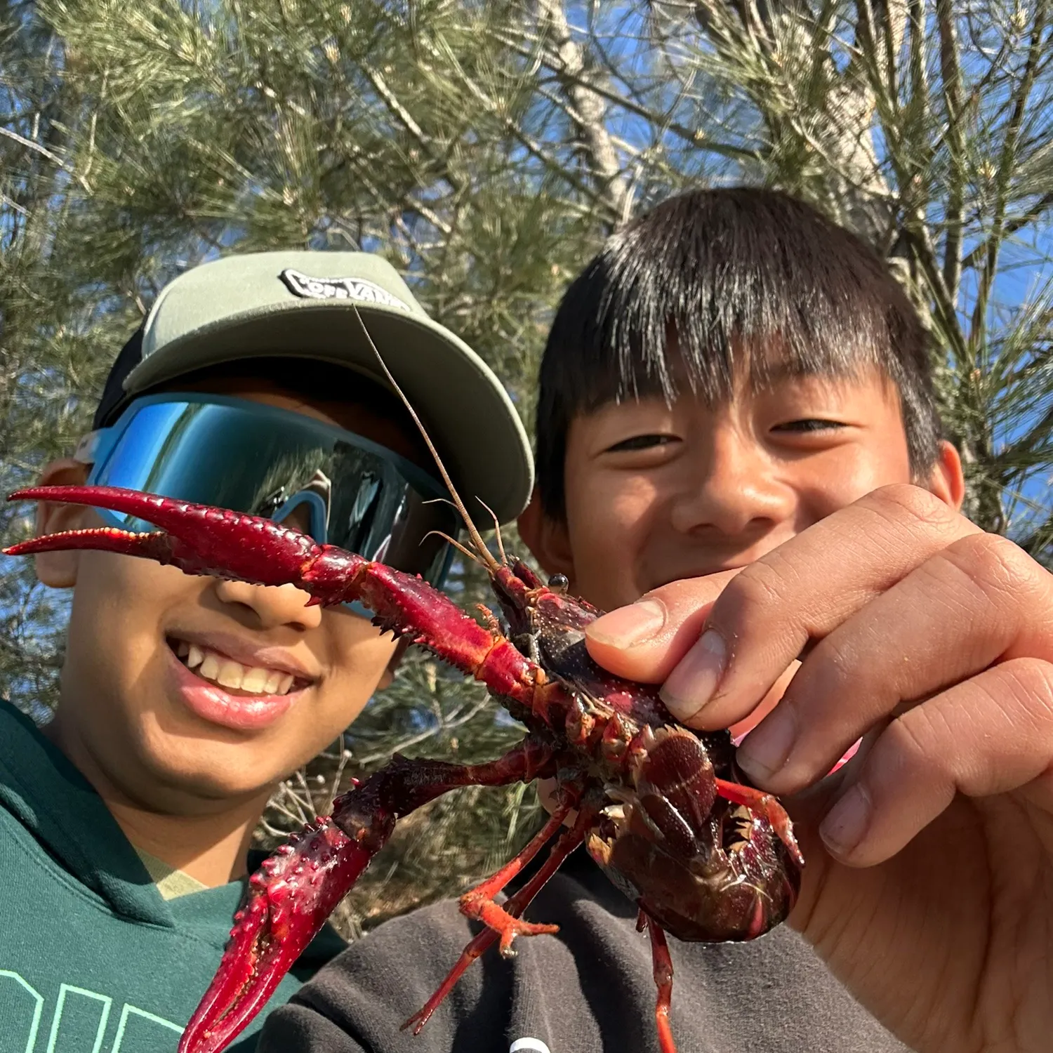 The most recent Red swamp crayfish catches on Fishbrain