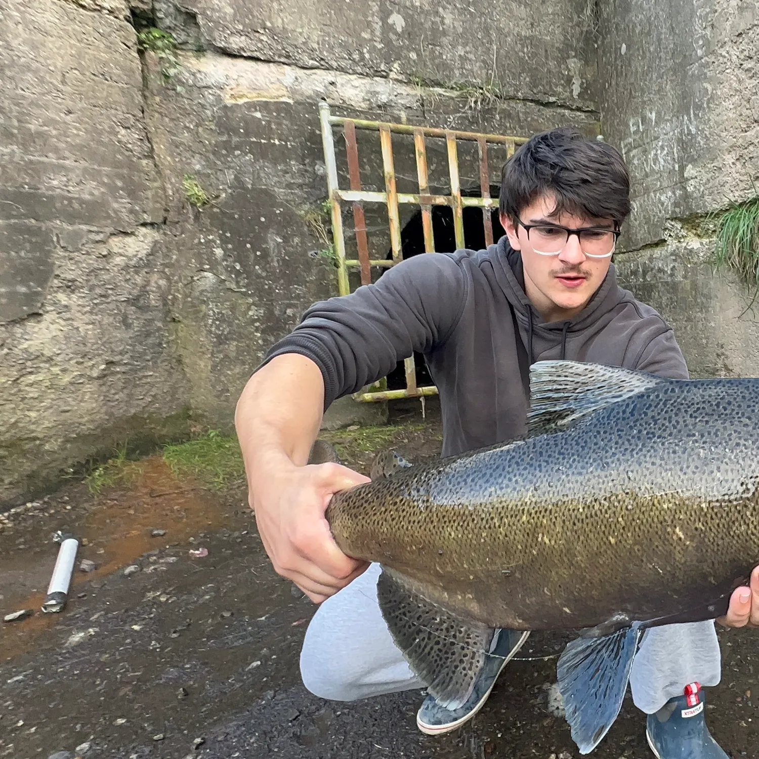 Chinook salmon caught on Fishbrain