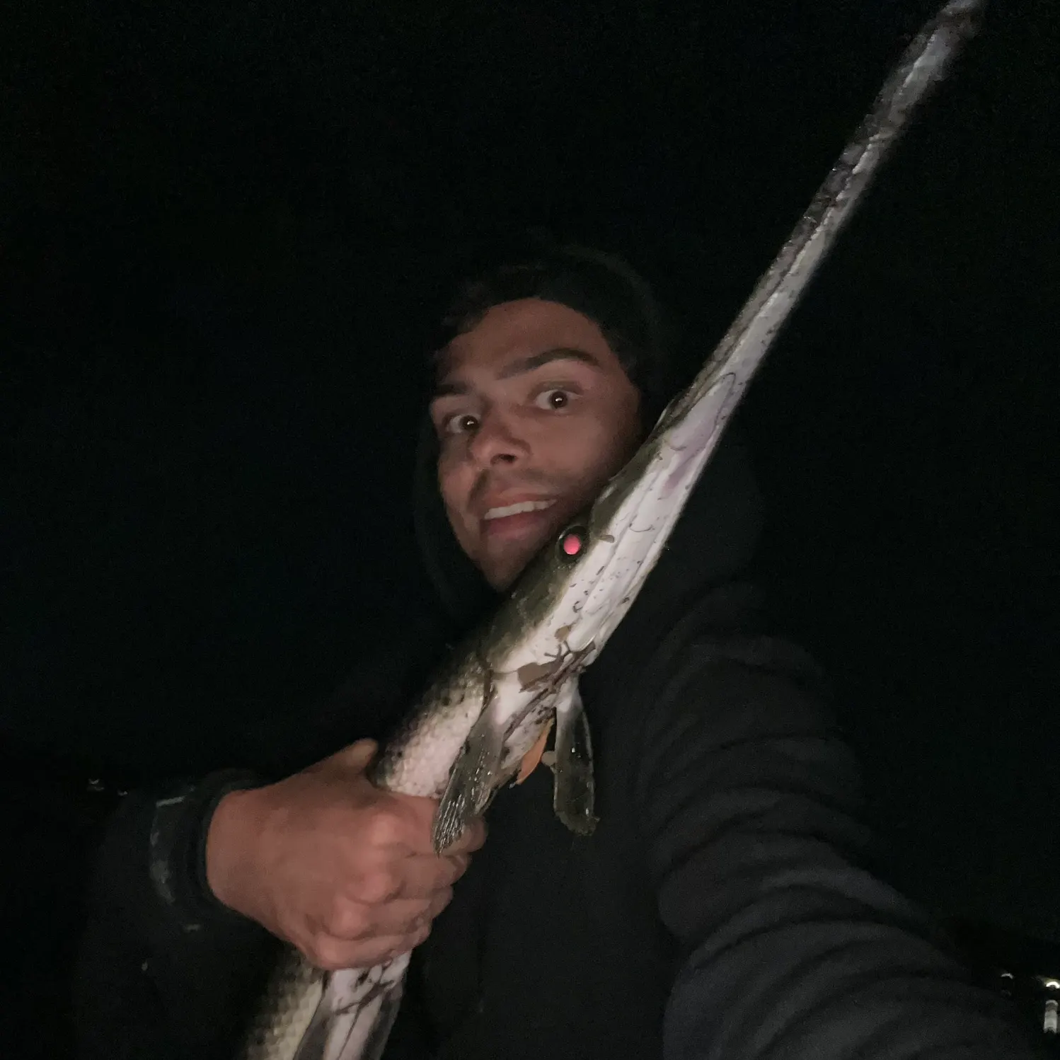 Longnose gar caught on Fishbrain