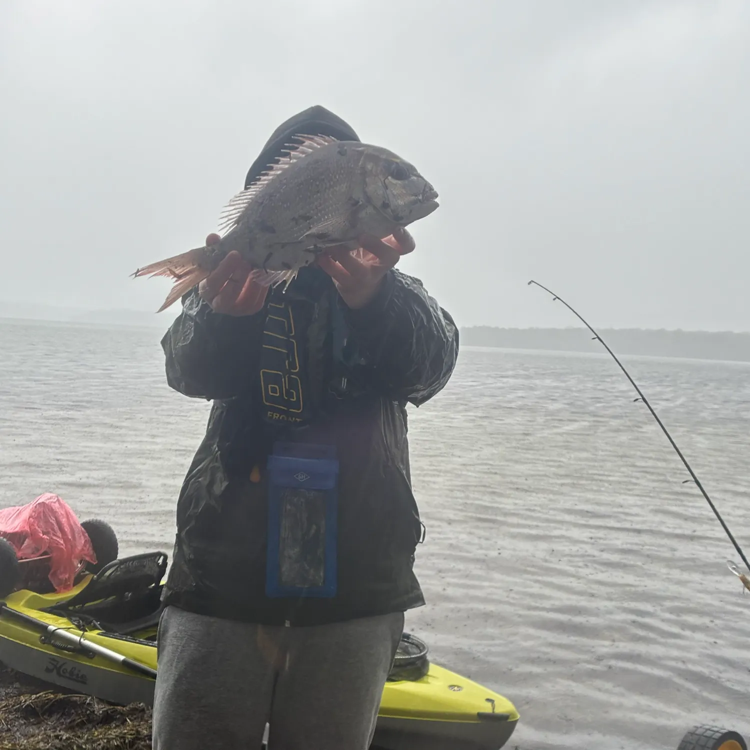 Australasian snapper caught on Fishbrain