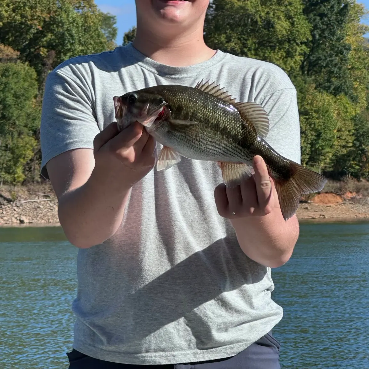 Smallmouth bass caught on Fishbrain