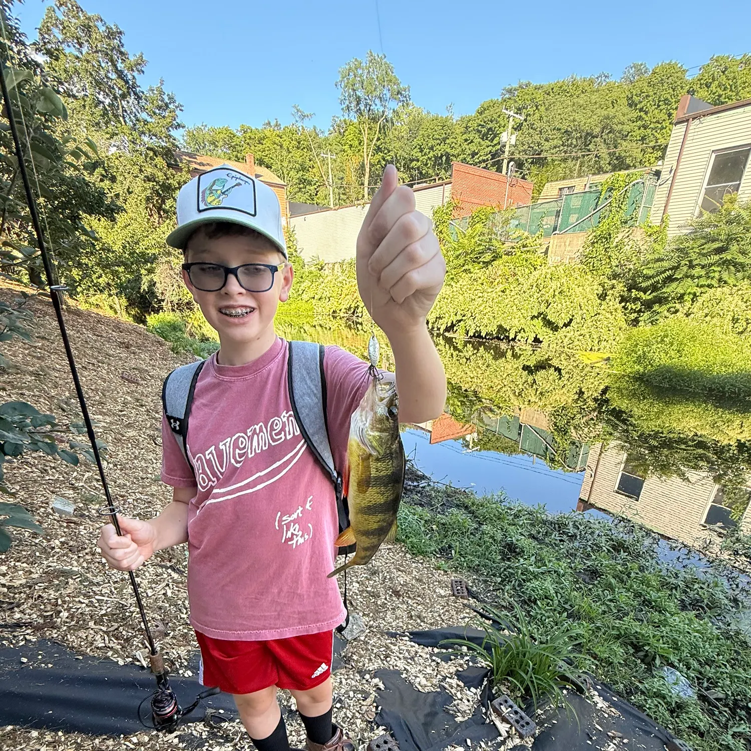 Yellow perch caught on Fishbrain