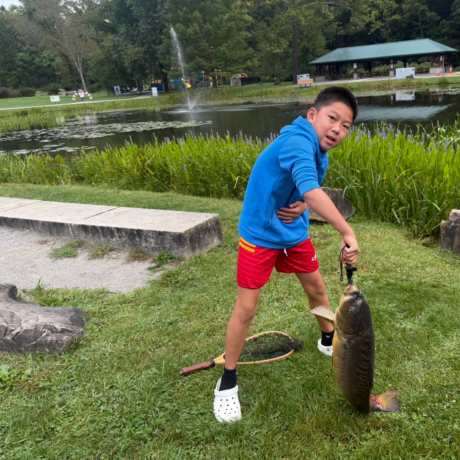 Common carp caught on Fishbrain