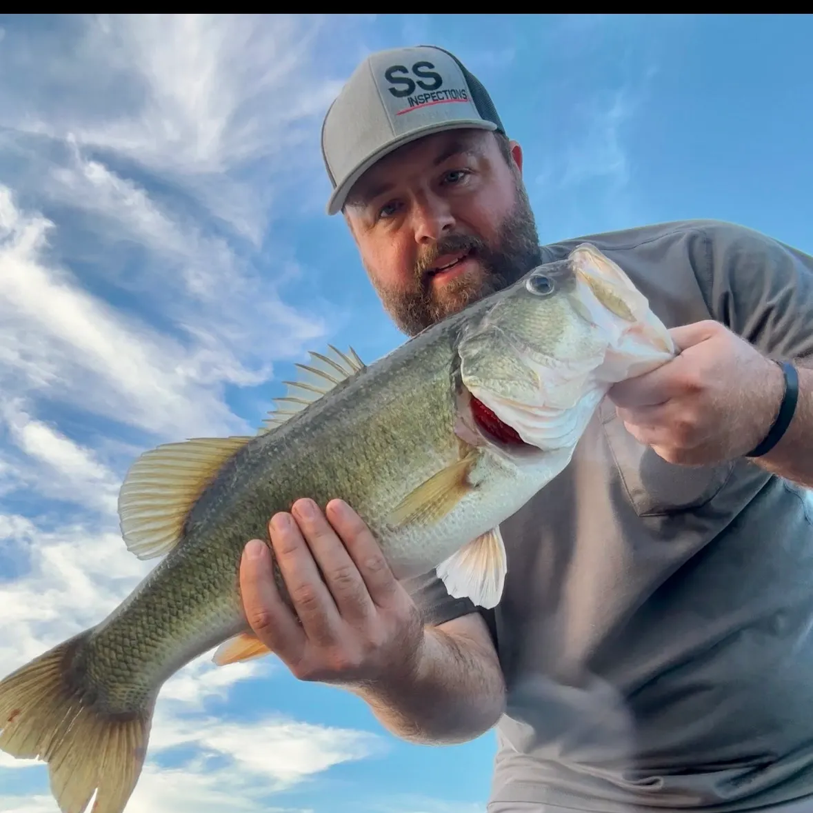 Largemouth bass caught on Fishbrain