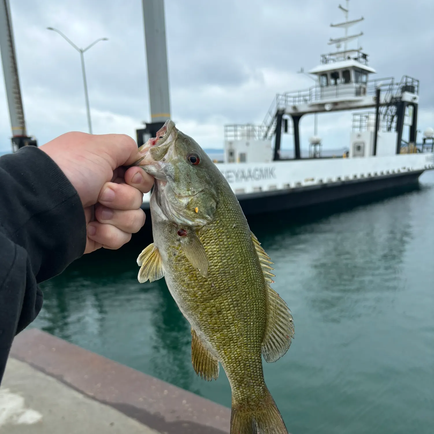 angler catch