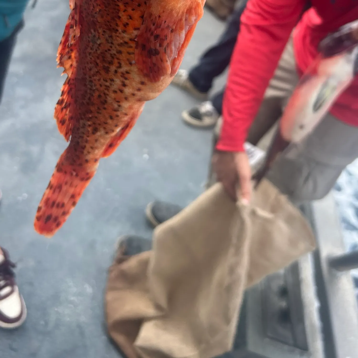 catch