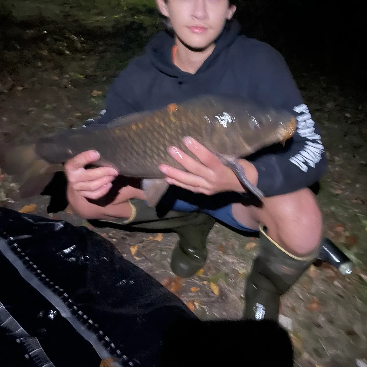 Common carp caught on Fishbrain