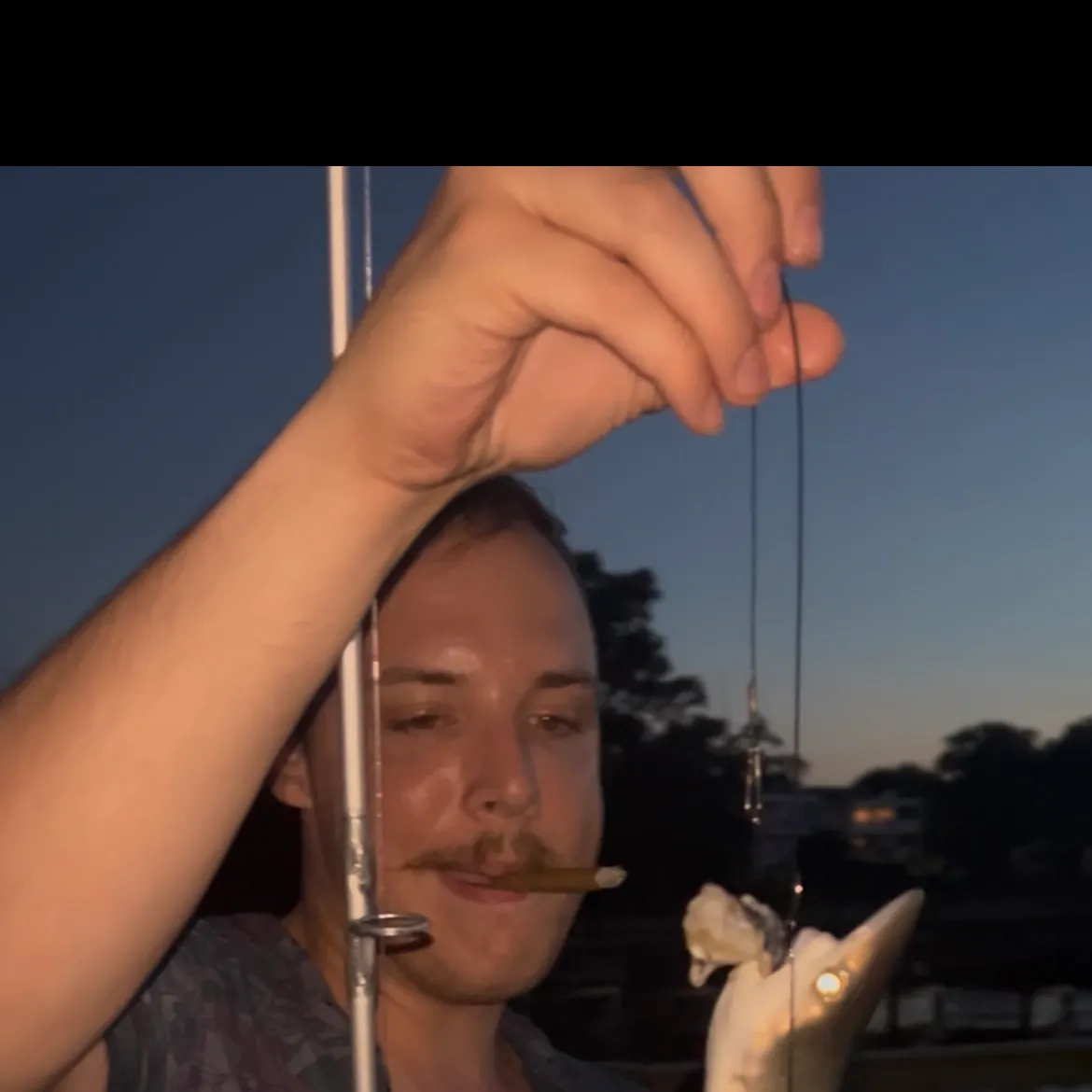 The most recent Atlantic sharpnose shark catches on Fishbrain