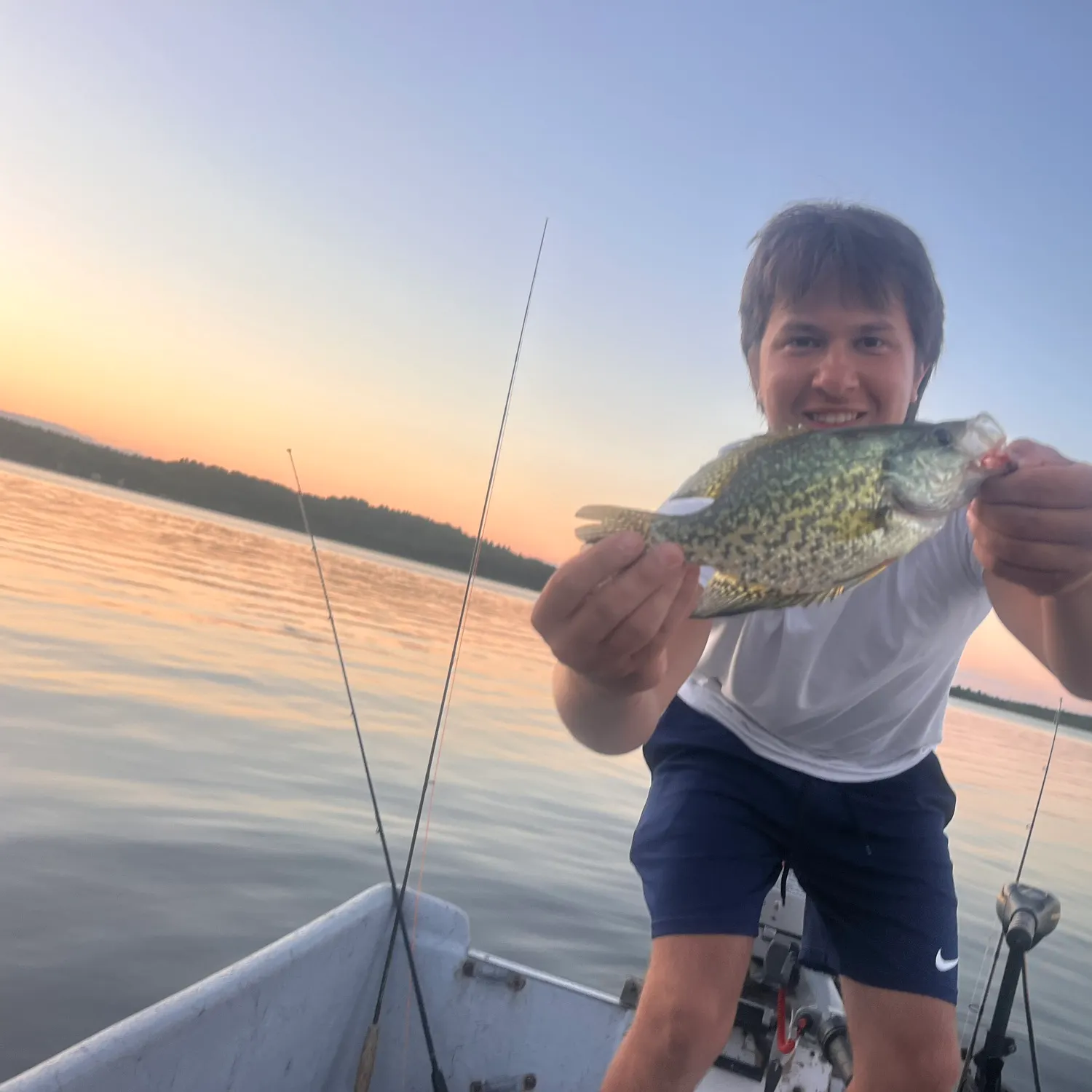 Black crappie caught on Fishbrain