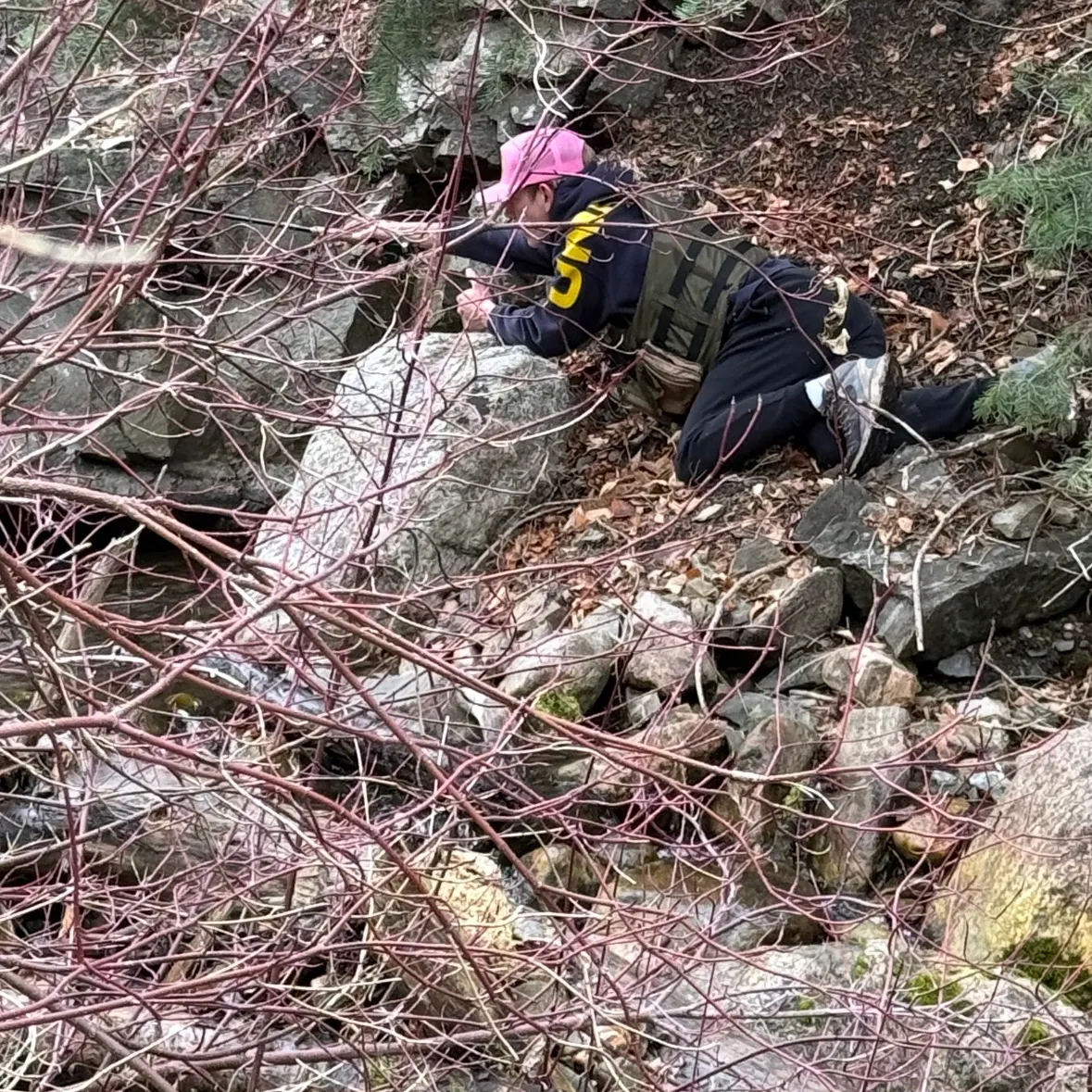 The most recent Bonneville cutthroat trout catches on Fishbrain