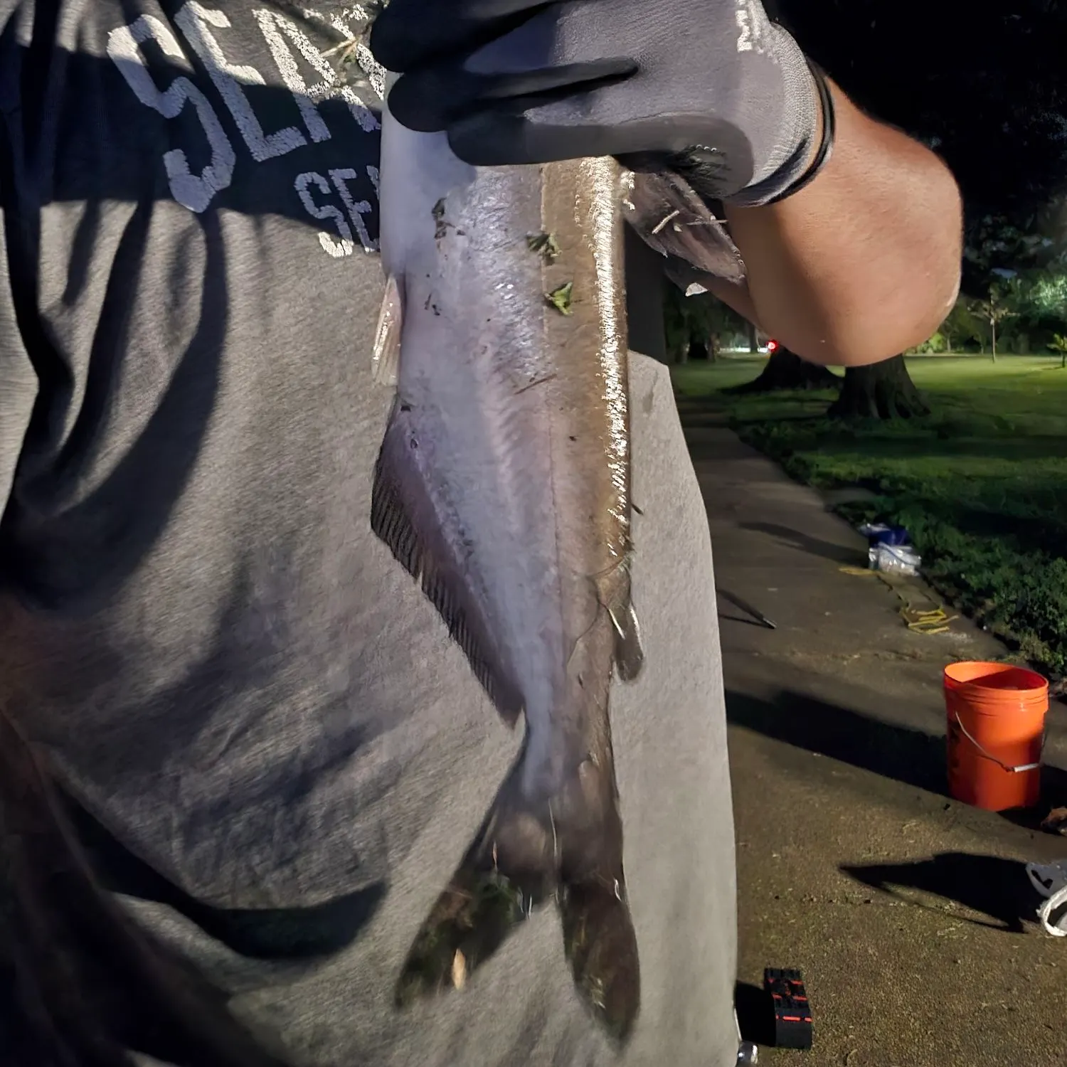 catch