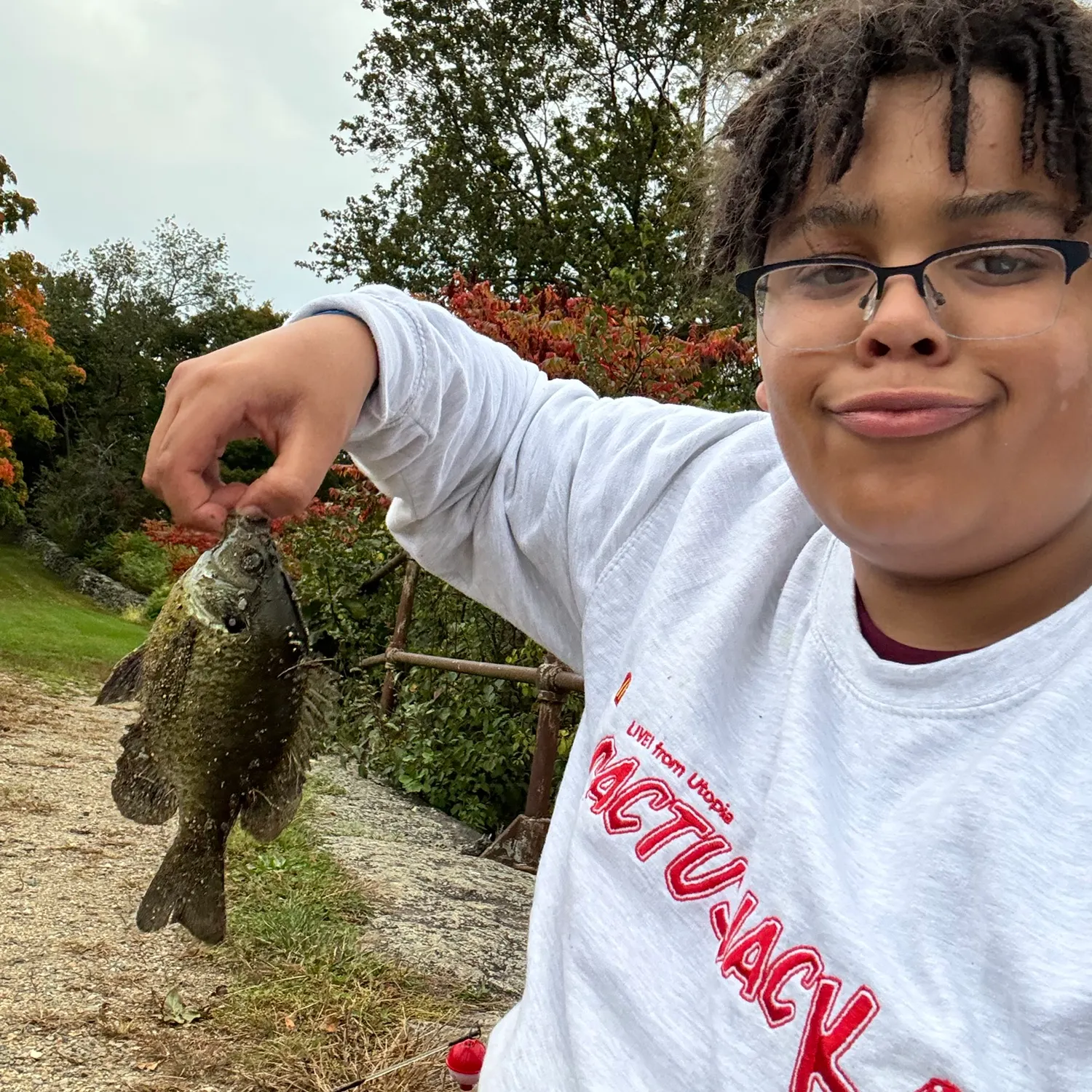 Bluegill caught on Fishbrain