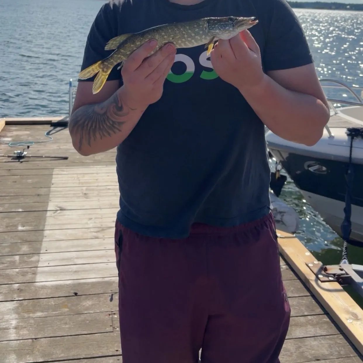 Northern pike caught on Fishbrain