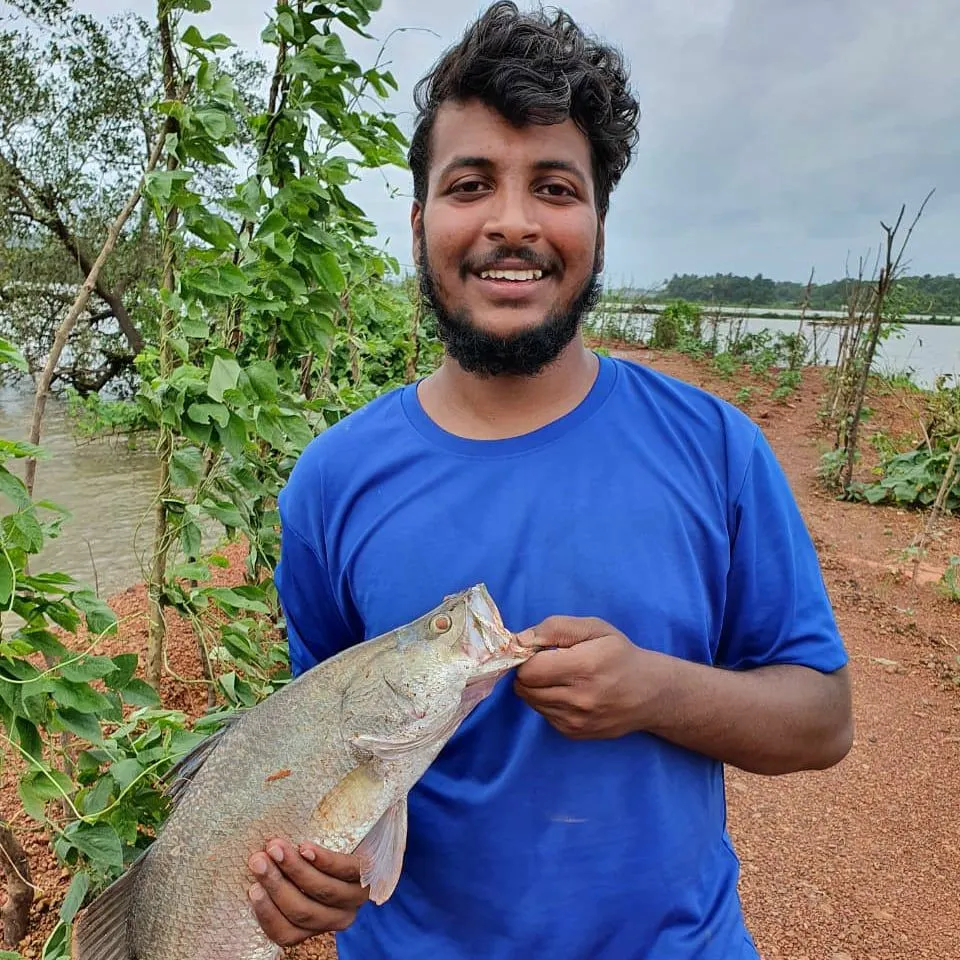 Fishing in India ️️️️ Explore the best fishing spots and areas