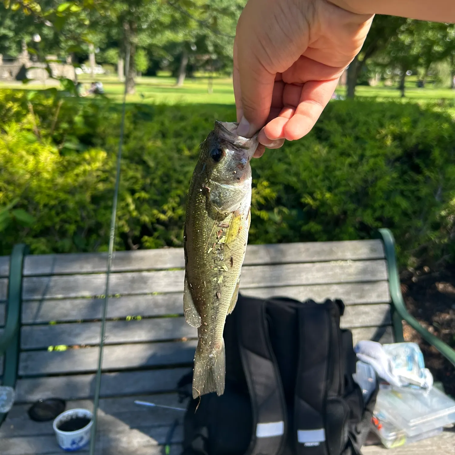 catch