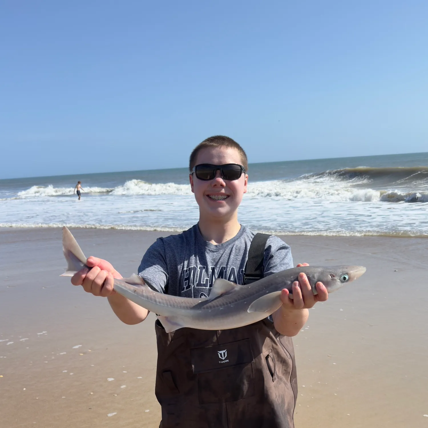 The most recent Piked dogfish catches on Fishbrain
